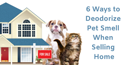 6 Ways to Deodorize Pet Smell When Selling HomeDoes Your Newly Listed House Smell Like DogClean Flooring Thoroughly